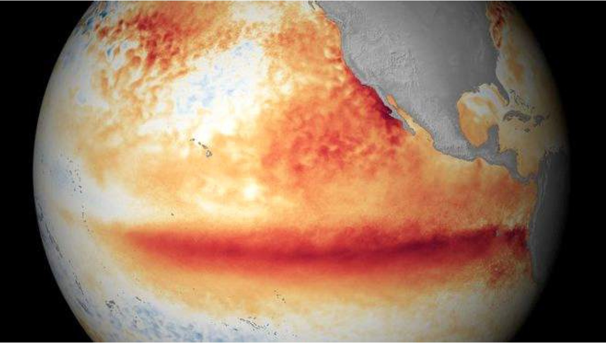 2015년 엘니뇨 상황. 적도 동태평양의 바닷물 온도가 평소보다 높음을 보여준다. [사진 미해양대기국(NOAA)]