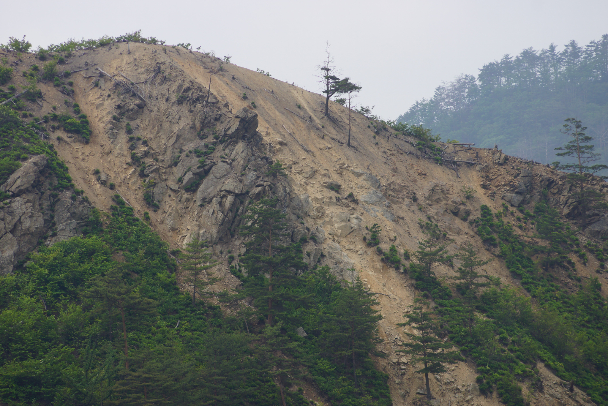 경북 봉화군 석포면의 훼손된 산림. 일부에서는 인근 제련소에서 배출한 산성 대기오염 물질이 원인이라고 지적하고 있다. 강찬수 기자