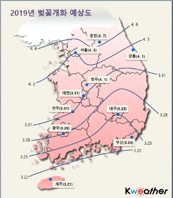 벚꽃 개화 예상 시기