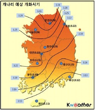 개나리 개화 예상 시기