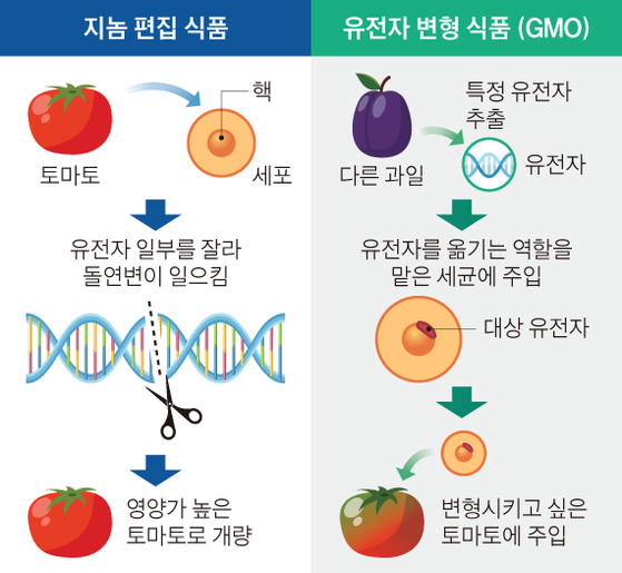 [그래픽=김현서 kim.hyeonseo12@joongang.co.kr]