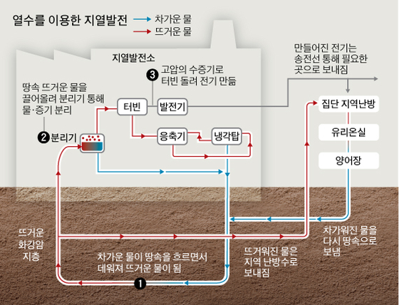 [그래픽=김영옥 기자 yesok@joongang.co.kr]