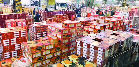 지난 1월 서울시 가락동 농수산물도매시장에서 상인들이 과일 경매를 준비하고 있다. [뉴스1]