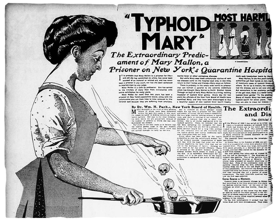 1909년 뉴욕아메리칸 신문에 실린 일명 '장티푸스 메리' 메리 맬런을 다룬 기사와 삽화. 그는 죄인으로 다뤄졌다. [중앙포토]