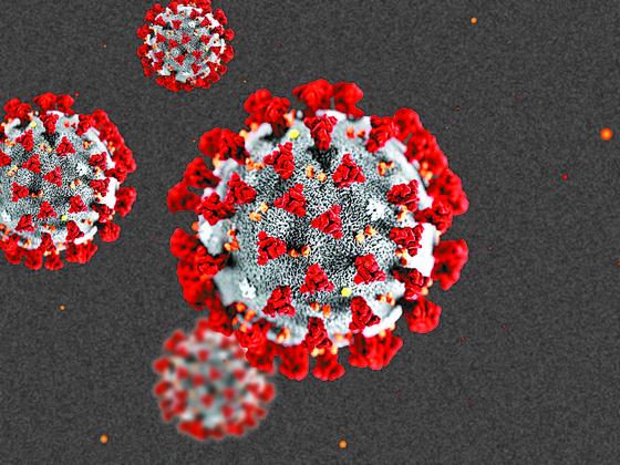 신종 코로나바이러스.