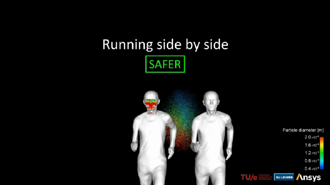 나란히 뛸 경우 뒤에서 뛰는 것보다는 덜 위험하다는 것을 보여주는 시뮬레이션. [ANSYS 홈페이지 캡처］