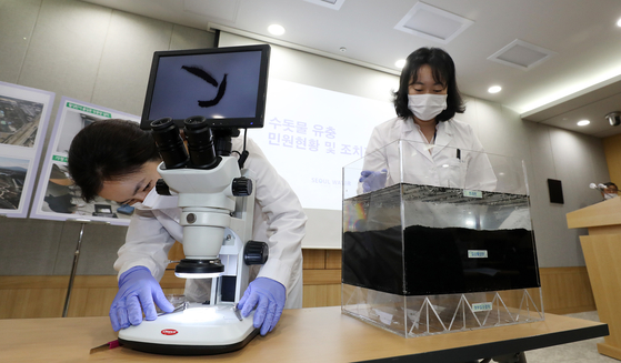 서울시 상수도사업본부 물연구원들이 28일 오전 서울 중구 서울시청 브리핑룸에서 열린 서울시 수돗물 유충관련 기자설명회에서 민원인이 발견한 유충을 현미경으로 확인하고 있다. 뉴스1.