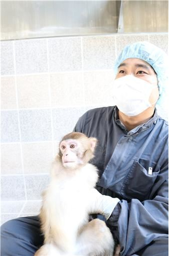 Primate infection model for the development of a vaccine for the treatment of COVID-19 [사진 한국생명공학연구원]