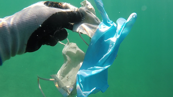 바다 속을 부유 일회용 마스크와 장갑 쓰레기.  Operation Mer propre