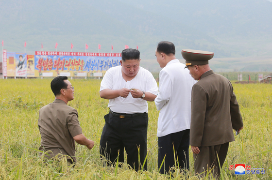 Daecheong-ri, Eunpa-gun, North Hwanghae Province, visited by North Korean leader Kim Jong-un is a grain area in North Korea. [연합뉴스]