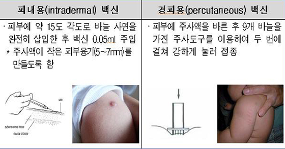 Tuberculosis vaccine for newborns. [자료 질병관리본부]