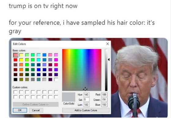 한 네티즌이 트럼프 대통령의 머리 색과 같은 색을 올렸다 트윗. [트위터 캡처]