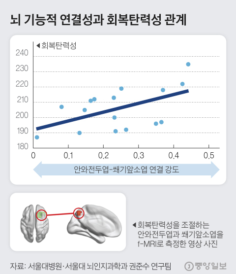 Brain functional connectivity and resilience relationship.  Graphic = Kim Hyun-seo kim.hyeonseo12@joongang.co.kr