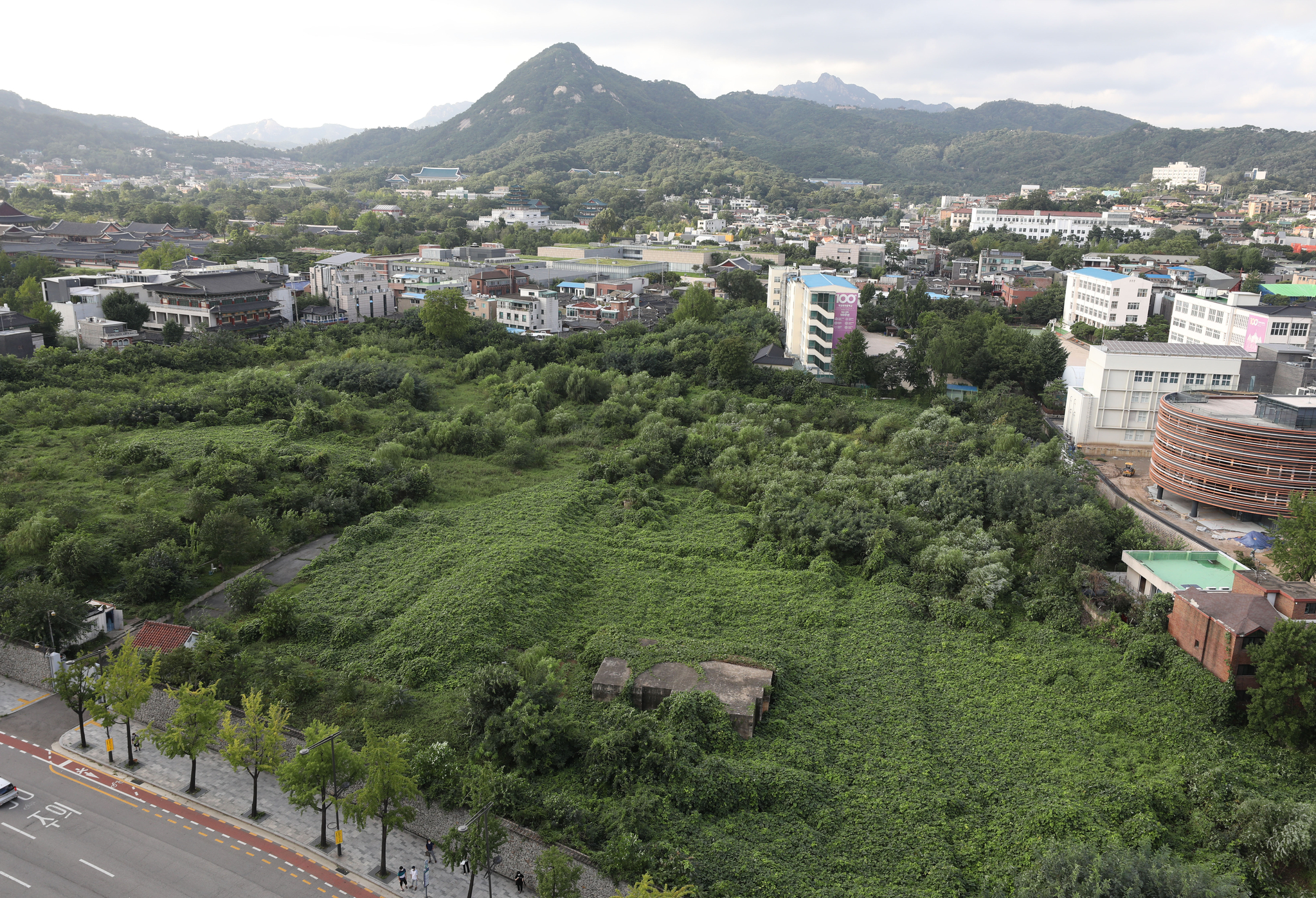 서울 종로구 송현동 부지. 뉴시스