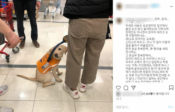 A photo of a preliminary guide dog that was posted on social media on the 29th and became controversial.  Instagram Capture