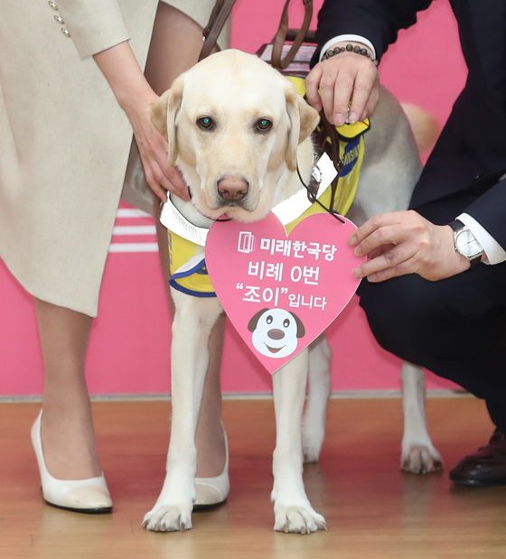 'Joy', the guide dog of blind pianist Kim Ye-ji, hangs a collar of Proportional Representative No. 0 around his neck at the Korean Party Proportional Representative nominee presentation ceremony held on March 27.  Yunhap news