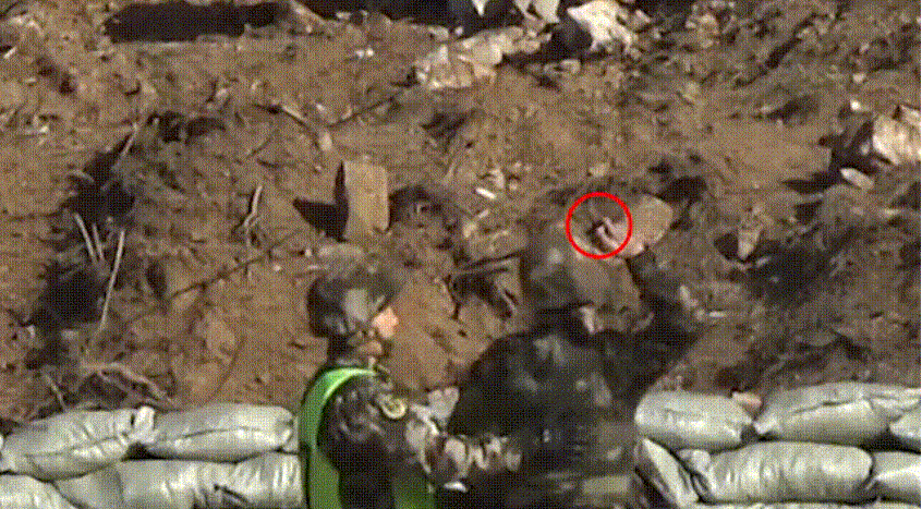 지난 14일 중국 허난성에서 무장경찰 훈련병이 실수로 수류탄을 손에서 떨어뜨렸다. [신화통신 캡쳐]