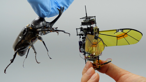 Perform a covert mission without falling…  Koreans who made the longevity beetle robot