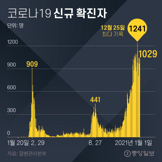 Confirmed new crown 19. Chart = Younghee Kim 02@joongang.co.kr