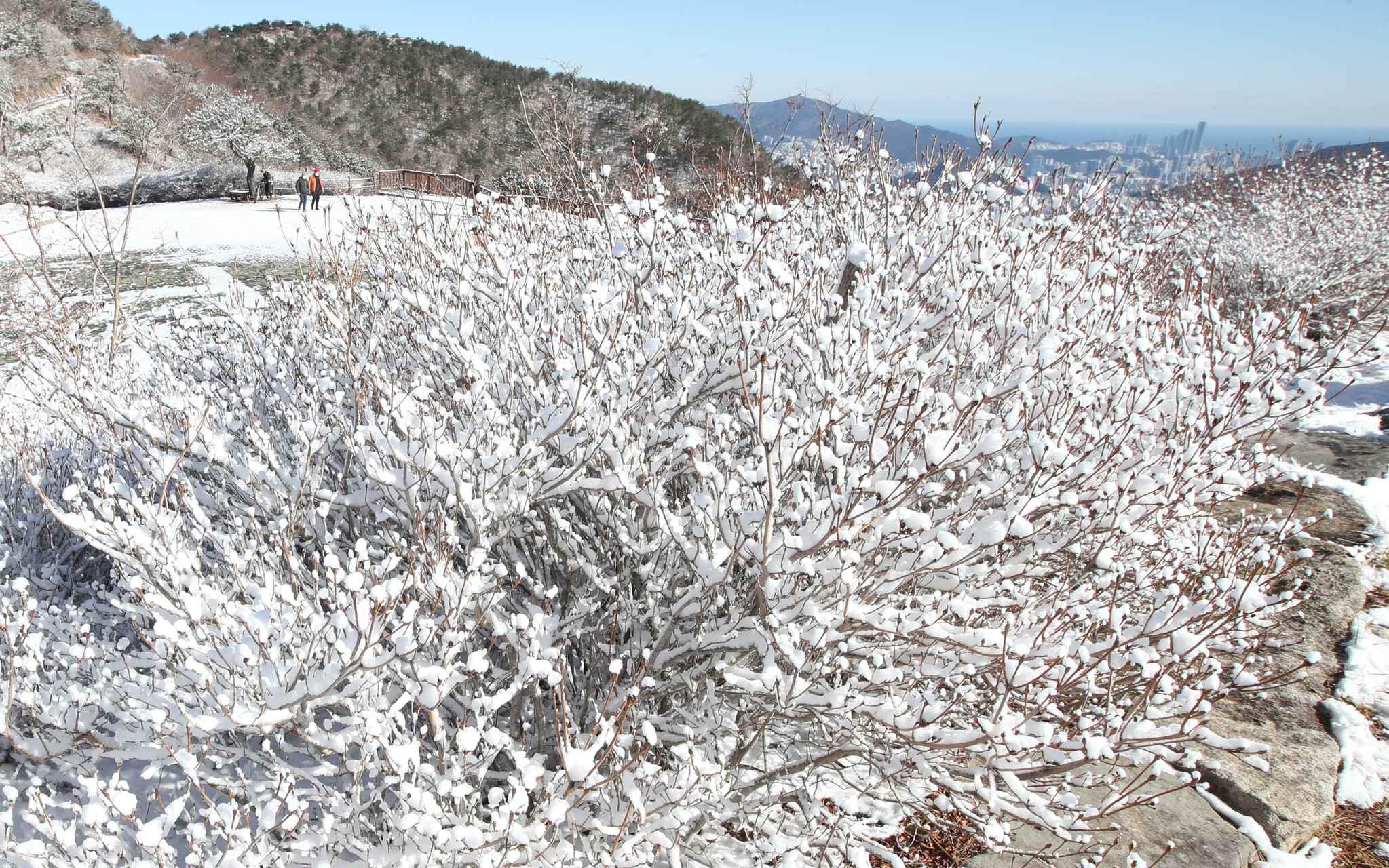 On the 13th, the cold wave goes away and the normal temperature recovers…  Fine dust riding