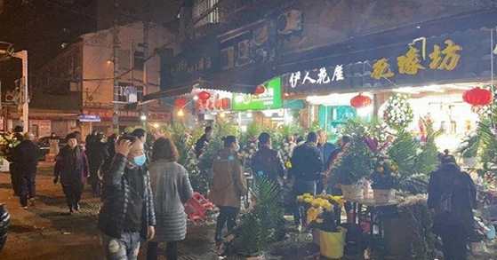 Chrysanthemums in Wuhan, China on New Year’s Day…  Why