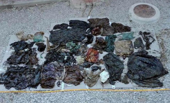 지난 2018년 스페인 남쪽 해안에서 죽은 채 발견된 향유고래의 뱃속에서 발견된 플라스틱 쓰레기들. The Telegraph