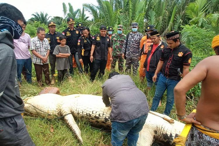 An 8-year-old boy who disappeared while swimming in Indonesia…  Came out of the crocodile boat