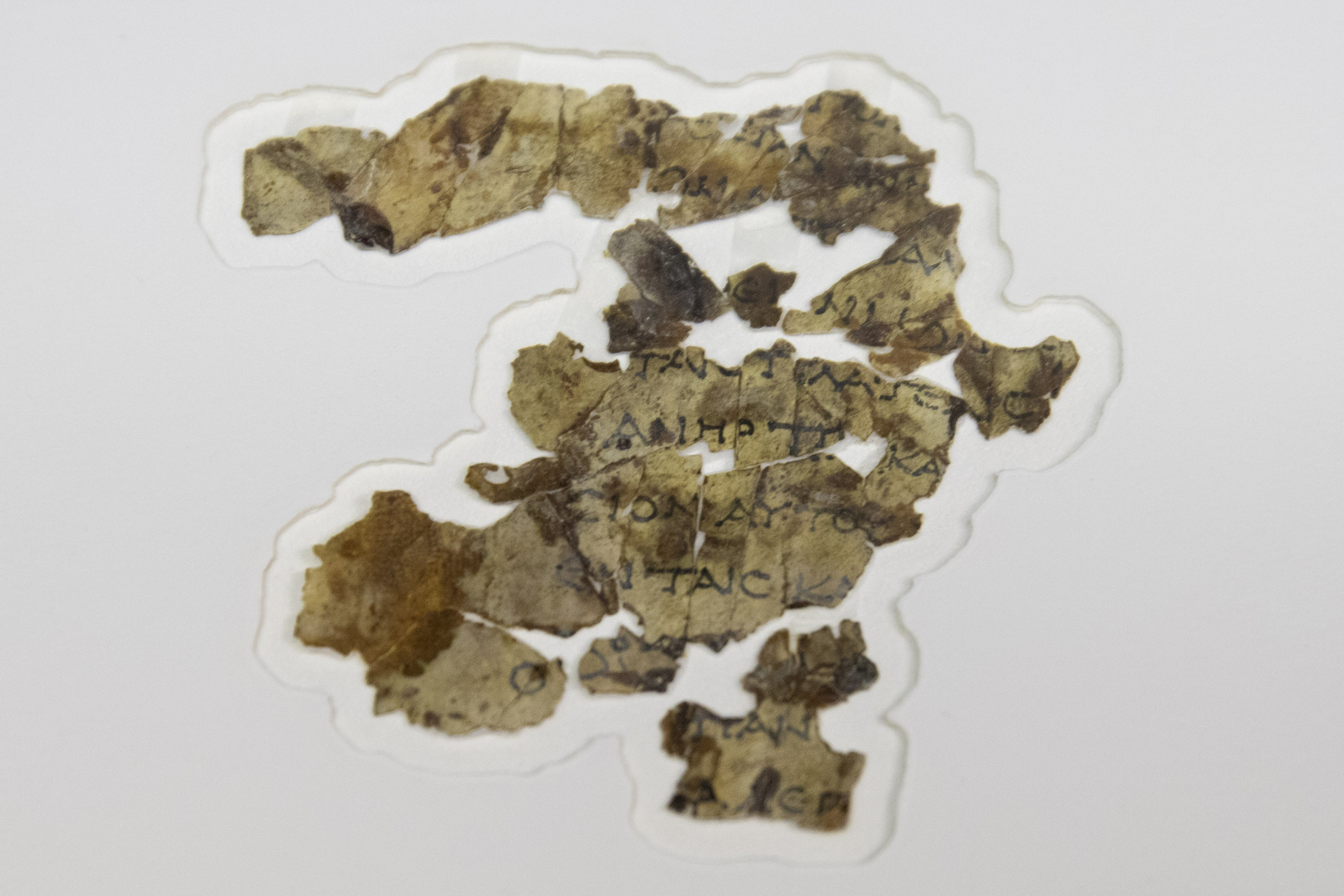Fragments of a 1900-year-old Bible manuscript excavated in Israel’s Cave of Fear
