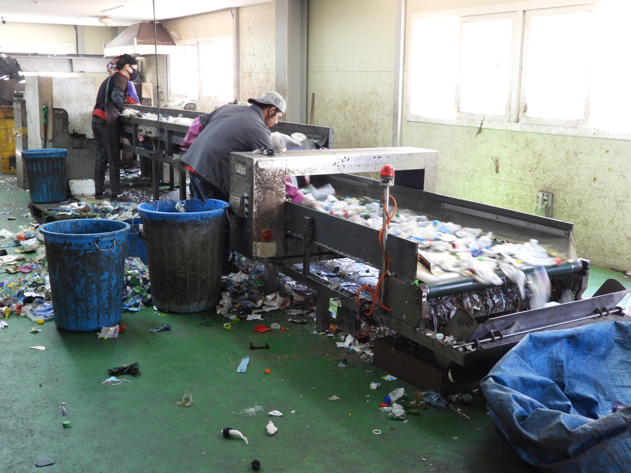 페트병 재활용 공장에서 작업자들이 재활용이 안 되는 이물질을 골라내고 있다. 강찬수 기자