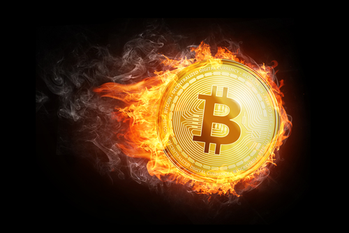 “Bitcoin bull market will continue”