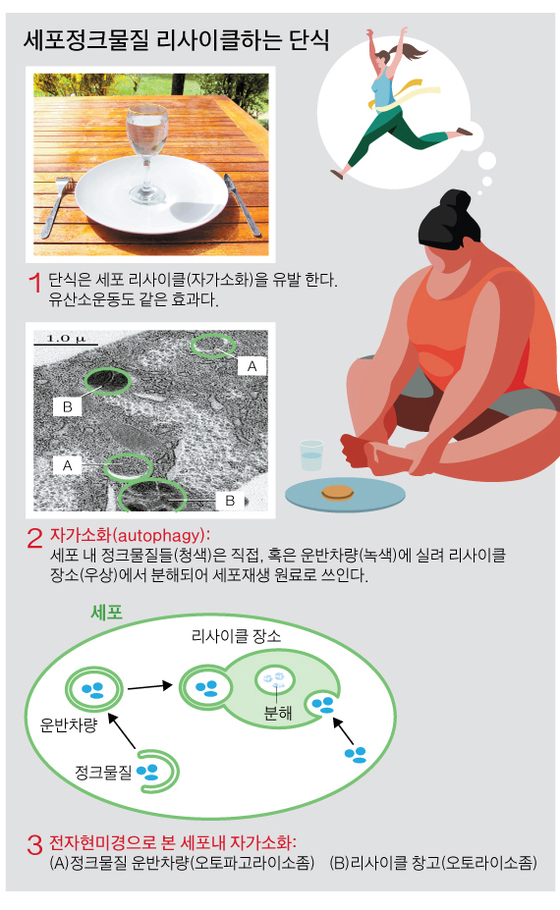 그래픽=박춘환 기자 park.choonhwan@joongang.co.kr