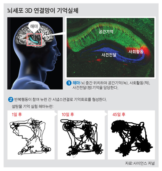 그래픽=박춘환 기자 park.choonhwan@joongang.co.kr